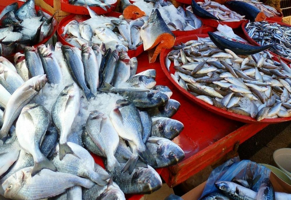 Care este cel mai bun pește pentru creier. Nutriționiștii recomandă consumul lui de două ori pe săptămână