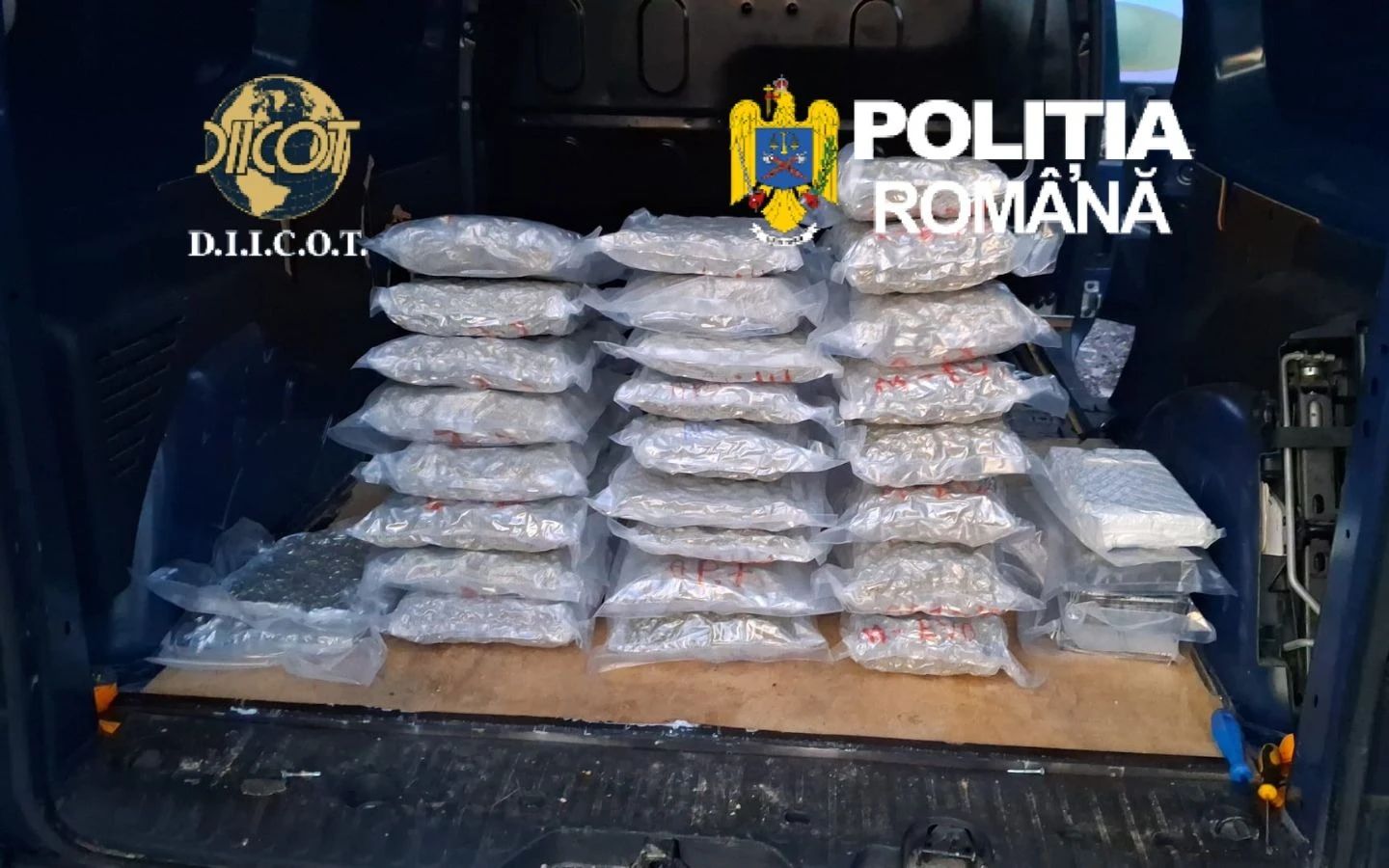 Captură impresionantă a Poliției Române. 4 kg de cocaină și 26 de kg de canabis, descoperite la un ucrainean