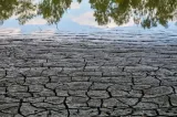 Europa, lovită de un nou val extrem de căldură: temperaturile pot ajunge la 50 de grade, iar incendiile se extind