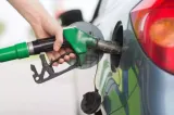 Camera Deputaților a votat reducerea temporară a nivelului accizei la motorină