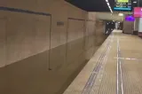 Cine este cel mai expus riscului de infectare cu bacteria Legionella, după panica de la metrou. Doctorul Beatrice Mahler explică 