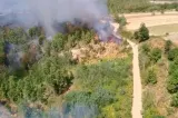 Incendii de vegetație de amploare în județul Timiș: peste 290 de hectare afectate. Pompierii se luptă cu flăcările de peste 12 ore VIDEO 