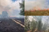 Incendii de vegetație în Timiș: peste 44 de hectare au ars în 24 de ore. Amenzi de până la 100.000 de lei