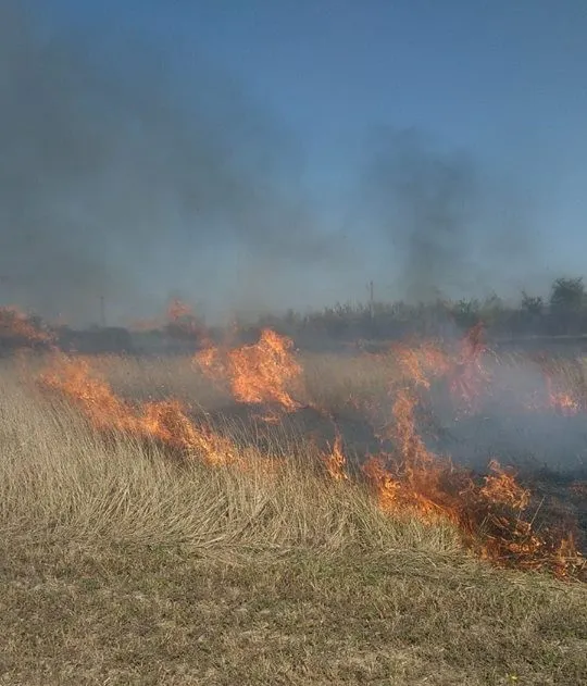 incendiu miriste2
