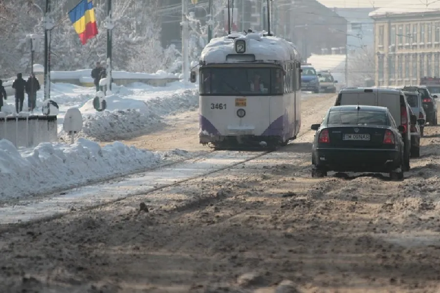 deszapezire-Timisoara