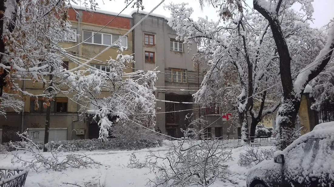 timisoara zapada