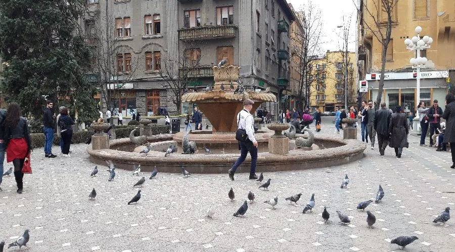 fantana-pesti-timisoara (8)