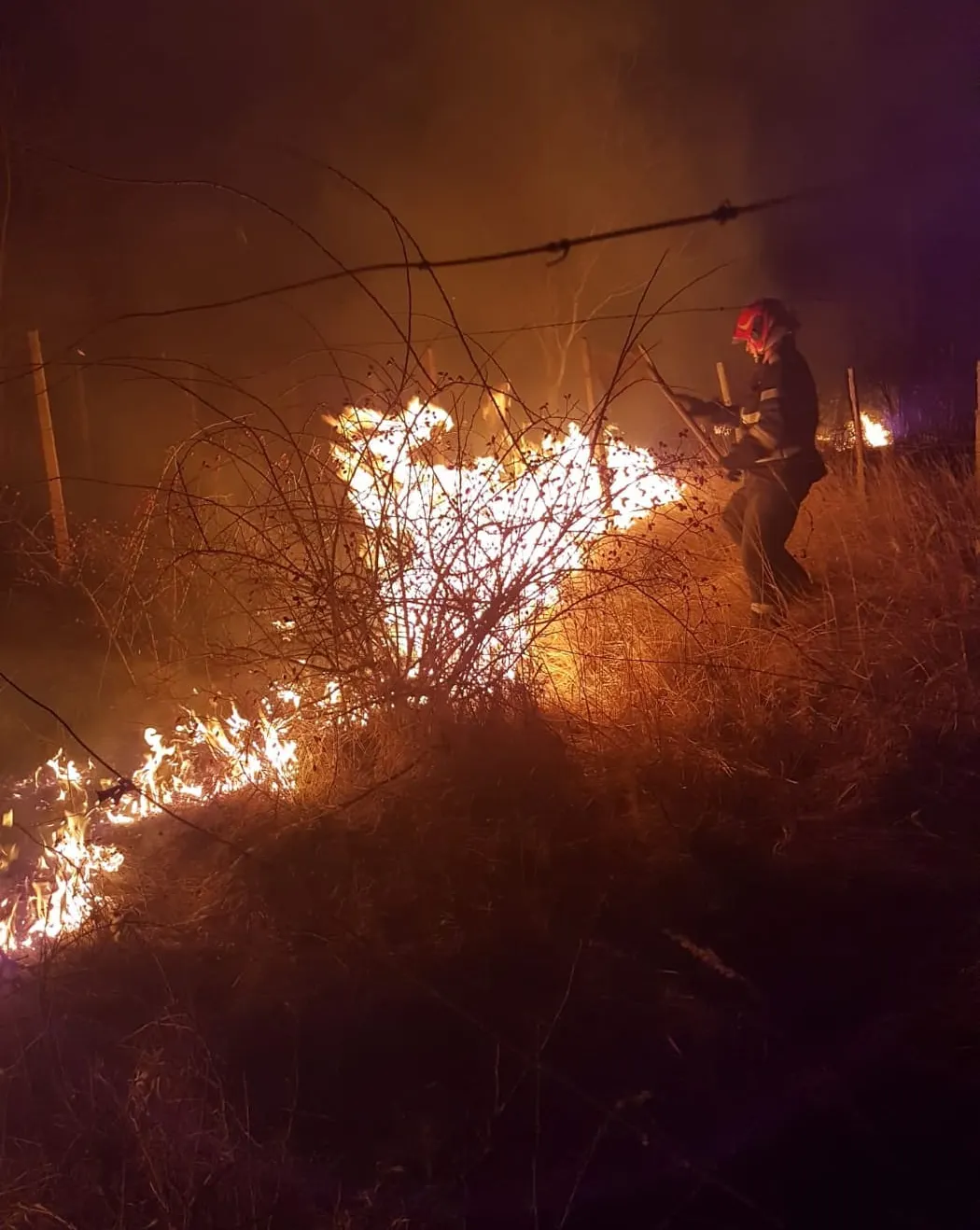 incendiu vegetatie