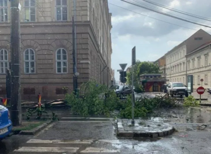 furtuna vara