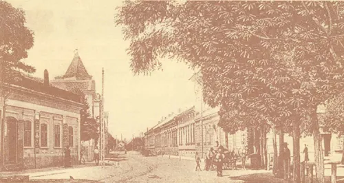elisabetin