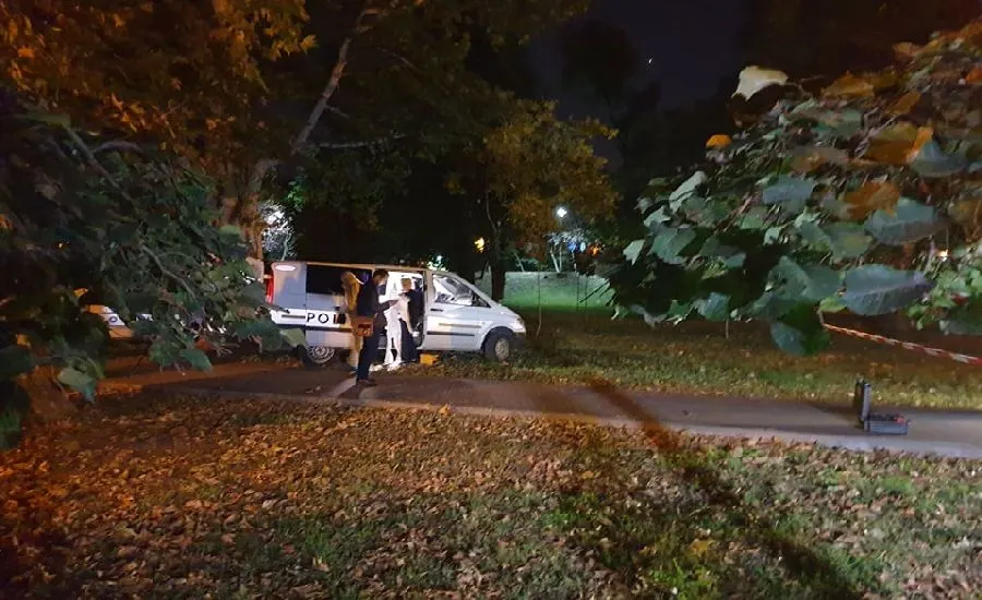 crima-criminalisti-politie-parc-catedrala