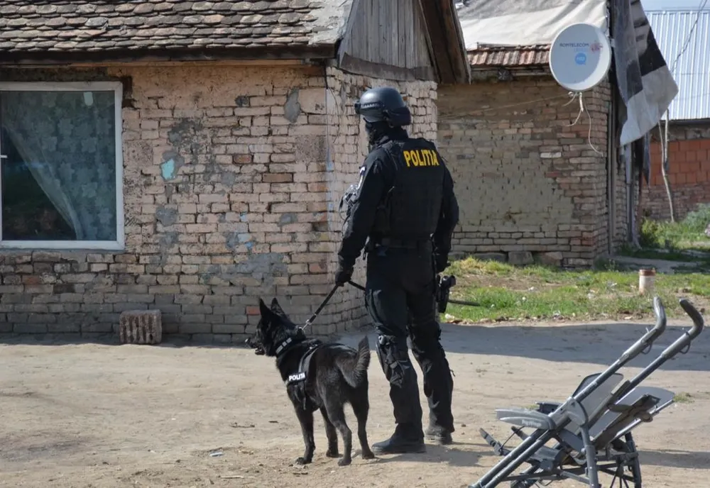 Descinderi ale polițiștilor timișeni: ce au descoperit