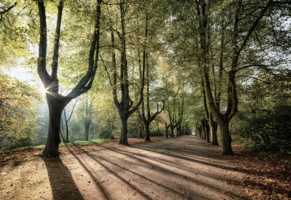 Bătaie între pensionari, într-un parc din Timișoara: unul a fost înjunghiat