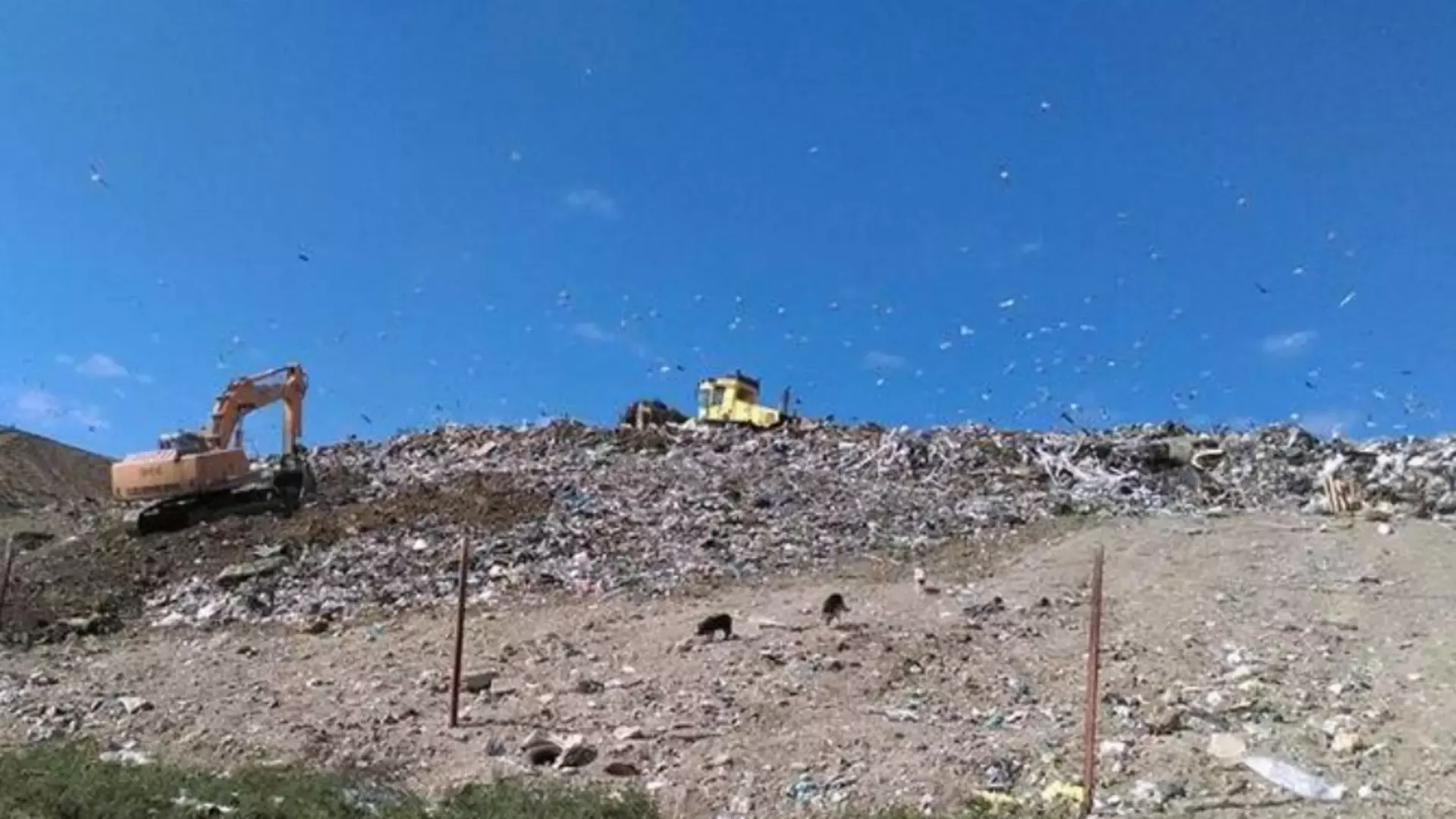 Gropi ilegale de deșeuri descoperite în Timiș. Prefectura declanșează controale în întreg județul