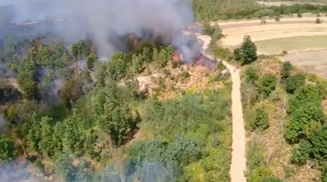 Incendii vegetație Timiș/ Captură video 