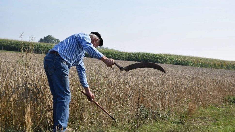 Prețul pentru îngrășământ s-a dublat