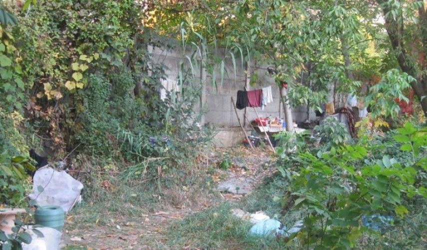 colibe-casa-tineretului