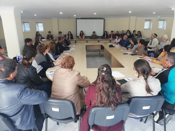 curs asistenti maternali