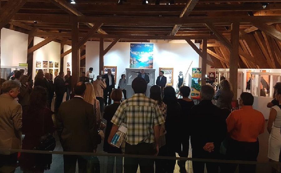 expozitie-pasari-muzeu