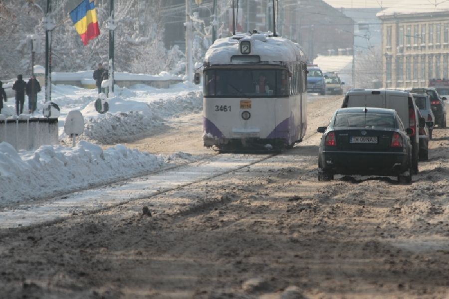 deszapezire-Timisoara