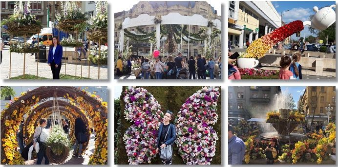 Timfloralis-realitatea