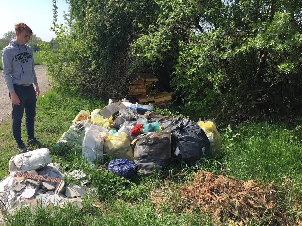 curatenie dumbravita