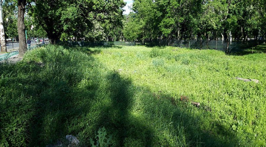 skatepark-central (16)