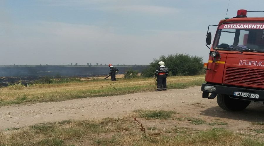 incendiu-vegetatie-sacalaz (3)