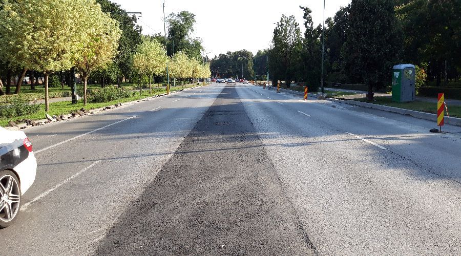 Bratianu-Michelangelo (2)