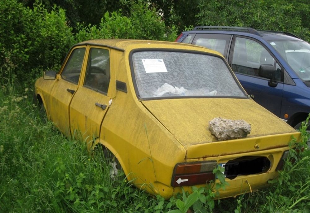 Sute de rable abandonate pe străzile din Timișoara. De ce nu le ridică poliția