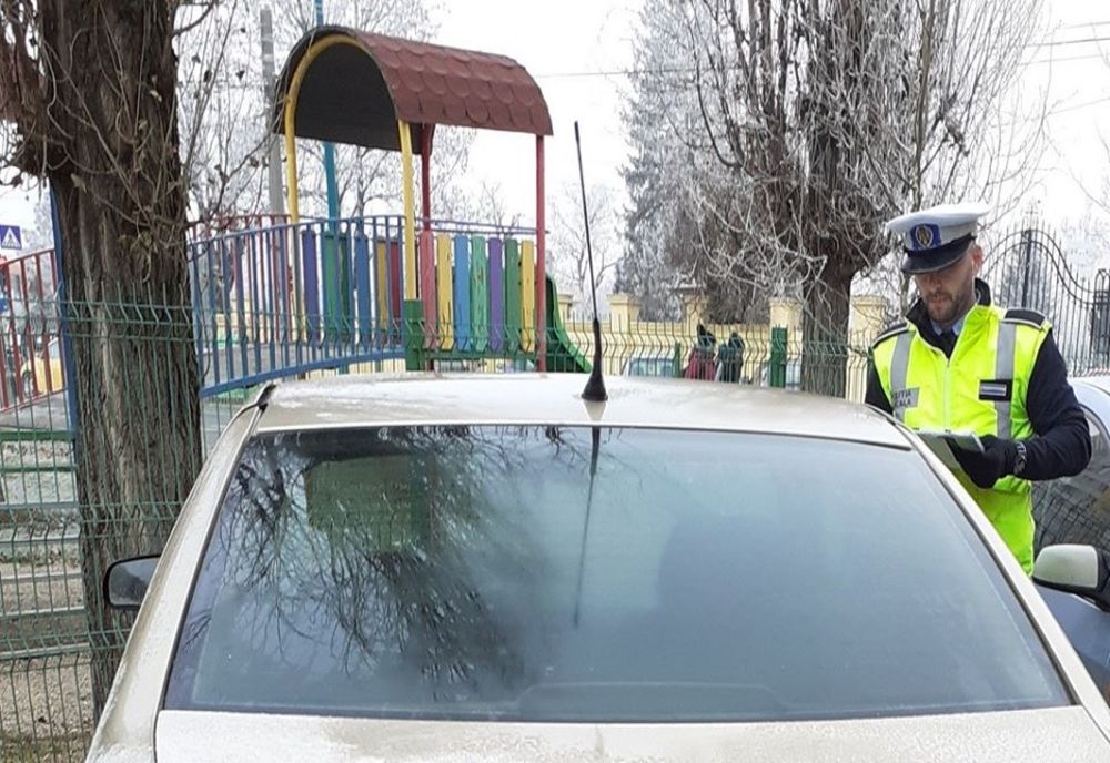 Amenzi cu nemiluita în parcurile din Timișoara. În ce hal au ajuns  