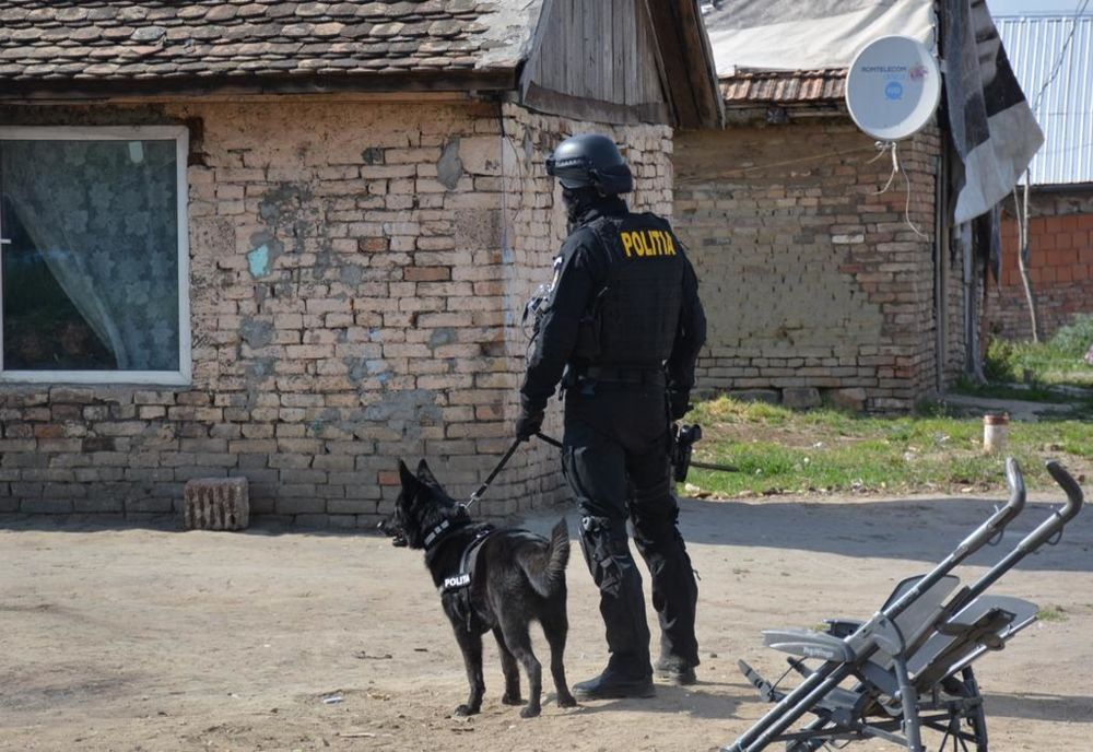 Descinderi ale polițiștilor timișeni: ce au descoperit