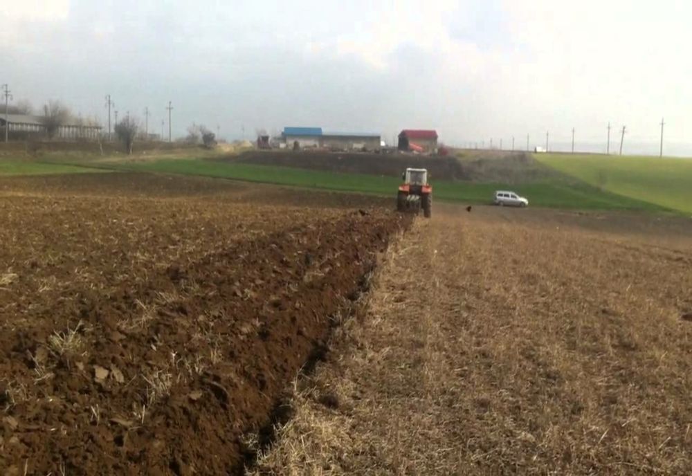 Corpul neînsuflețit al unui copilaș de doar două zile a fost găsit la marginea Timișoarei