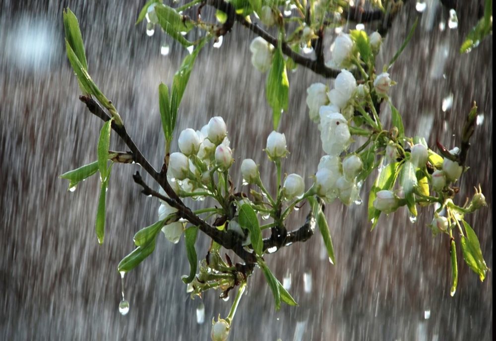 Vreme rece și închisă în Banat și Crișana