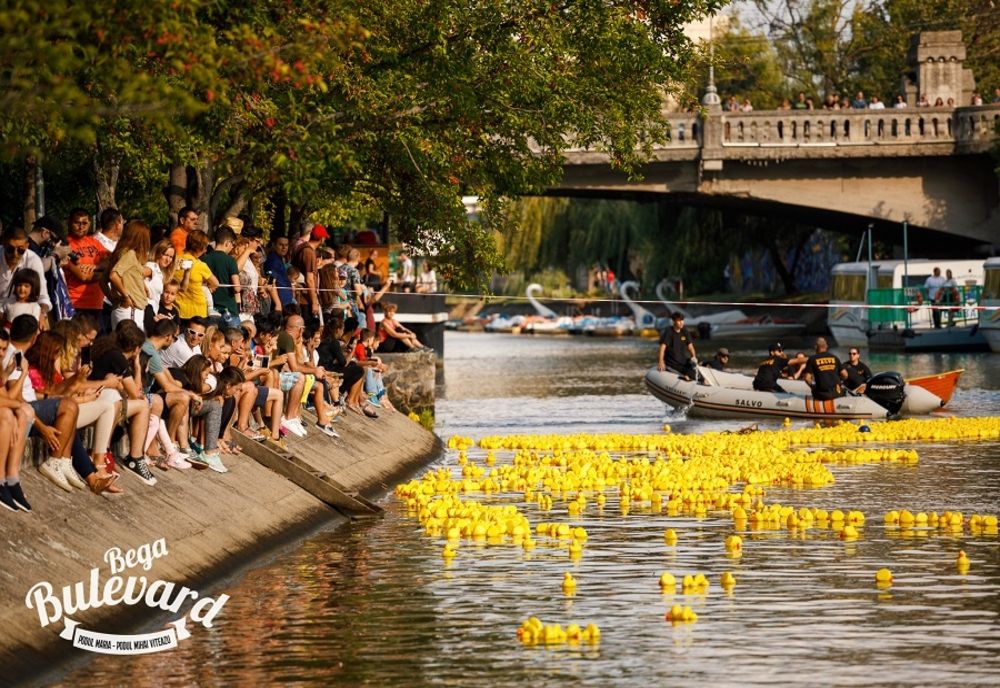La Timișoara, Bega Bulevard este în plină desfășurare