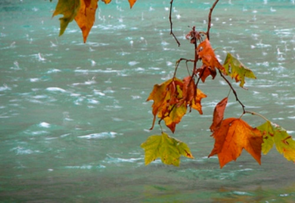 Ploi, vânt și ceață în vestul țării