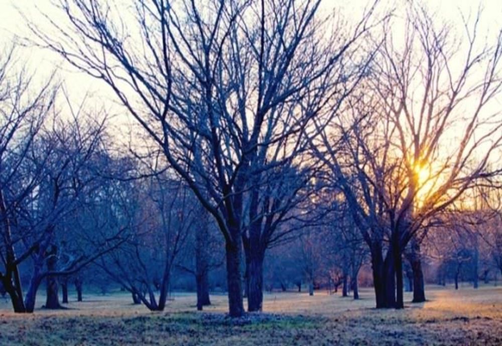 Cer variabil și vânt în vestul țării