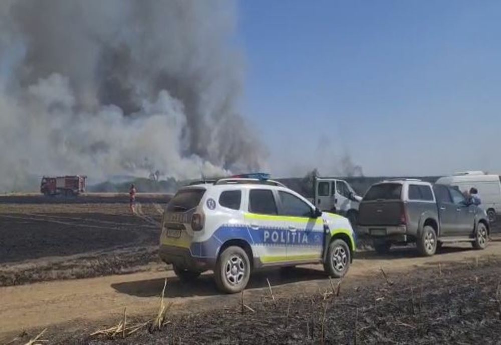 Incendiu imens în județele Arad și Timiș. Ard lanuri intregi. Video