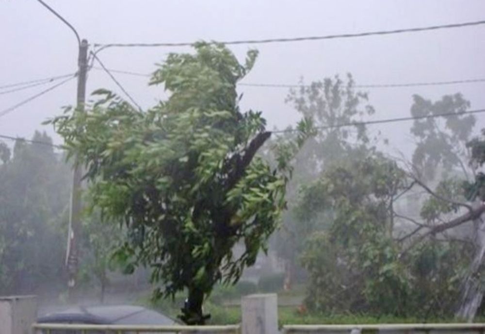 Alertă meteo - COD galben de vânt puternic în mai multe județe - Care sunt zonele vizate