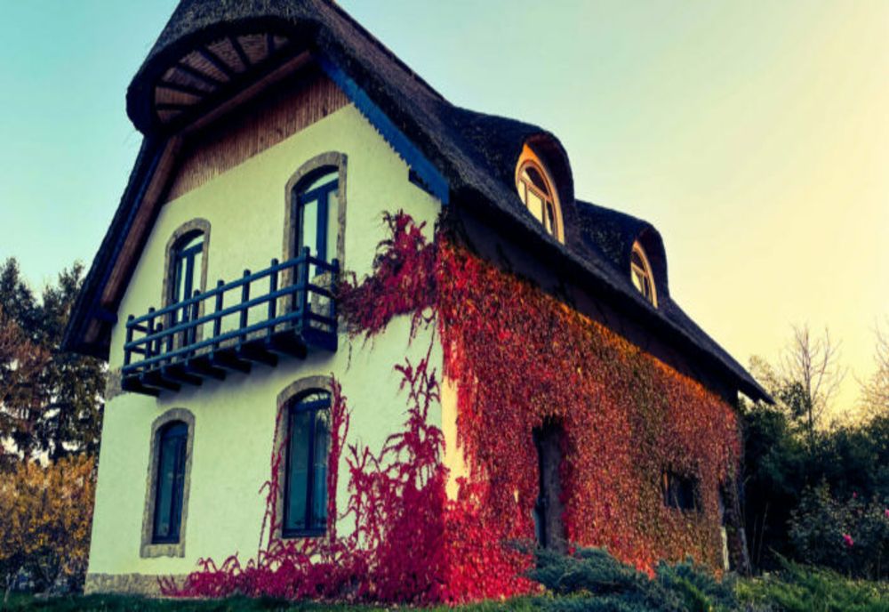 Provocare: găsiți cea mai frumoasă casă din Banat, o fotografiați și o înscrieți în concursul organizat de muzeu