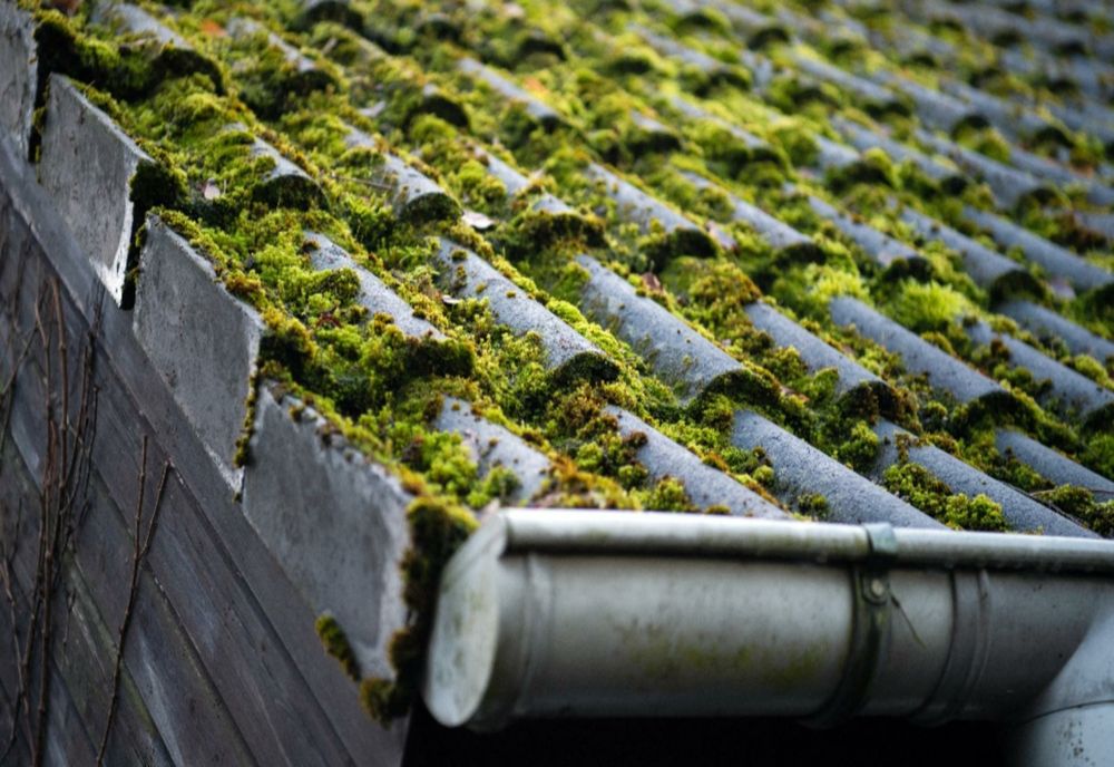 Metoda Burlanul lovește din nou. Atenție la escroci, o femeie de 72 de ani din Reșița a fost terorizată de așa zișii meșteri