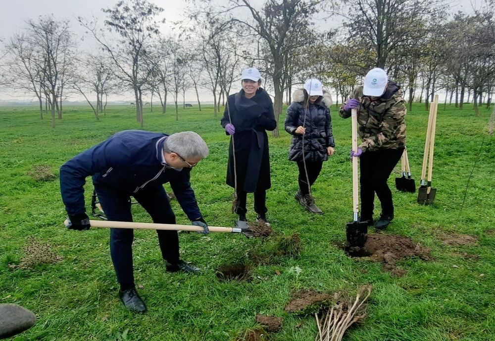 Mai mult verde pentru Timișoara și aer curat