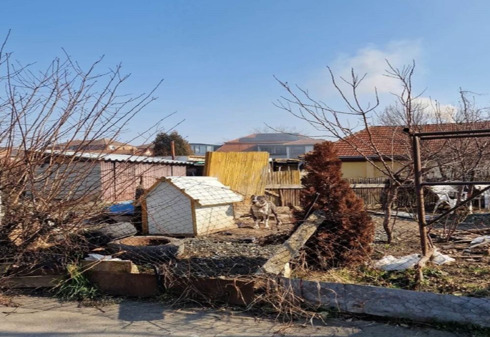 O nouă acțiune pentru verificarea proprietarilor de câini, sancțiuni în valoare 11100 lei aplicate pe Aleea Viilor și Armoniei