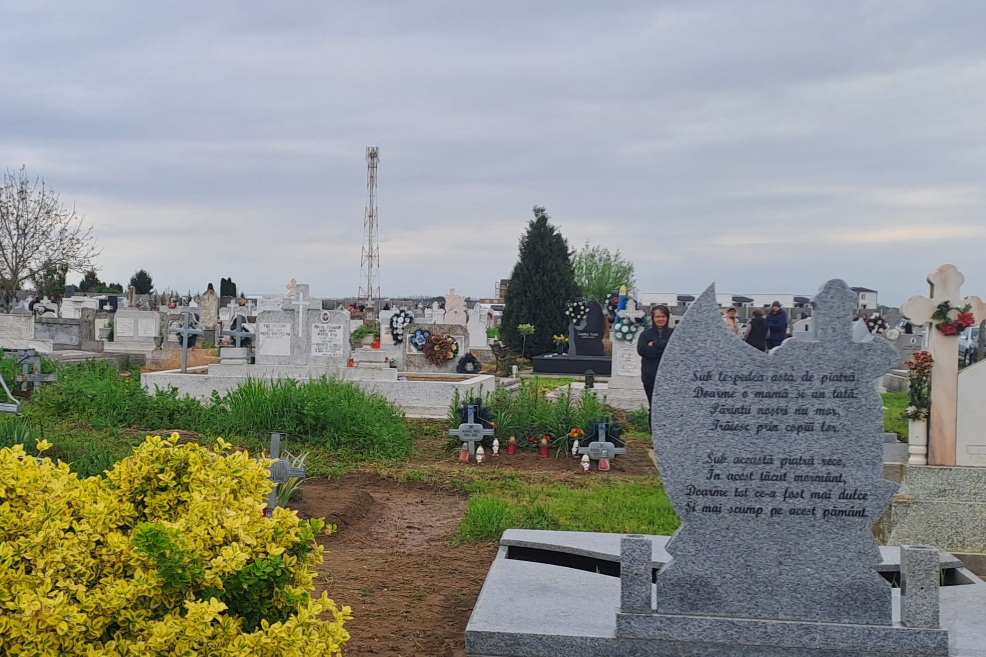 PASTELE BLAJINILOR-TIMIS-SPERANTA-NEFIINTA