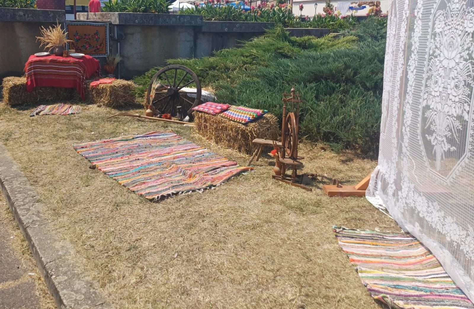 rugi-ianova-murani-colonia gataia-izvin-timis