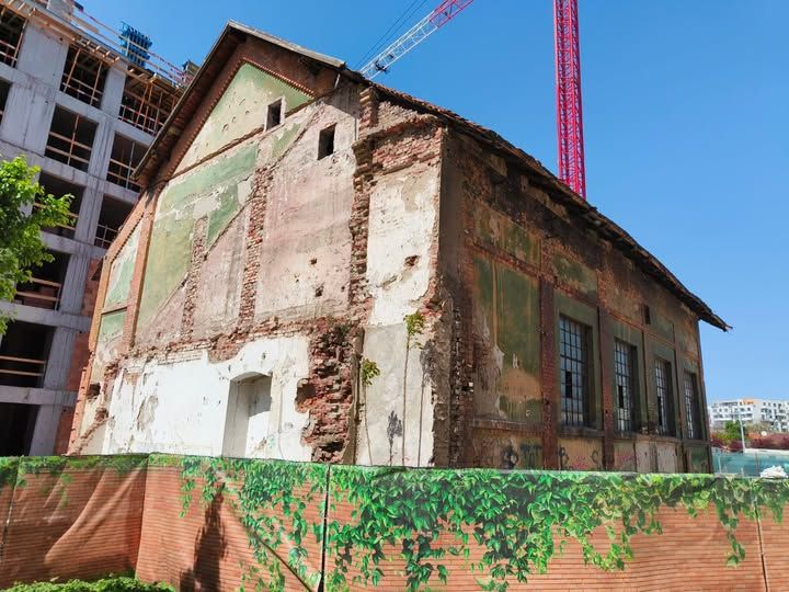 ILIE-VASILE SIRBU - SEGREGARE FISCAL-TIMISOARA-2025-AUR