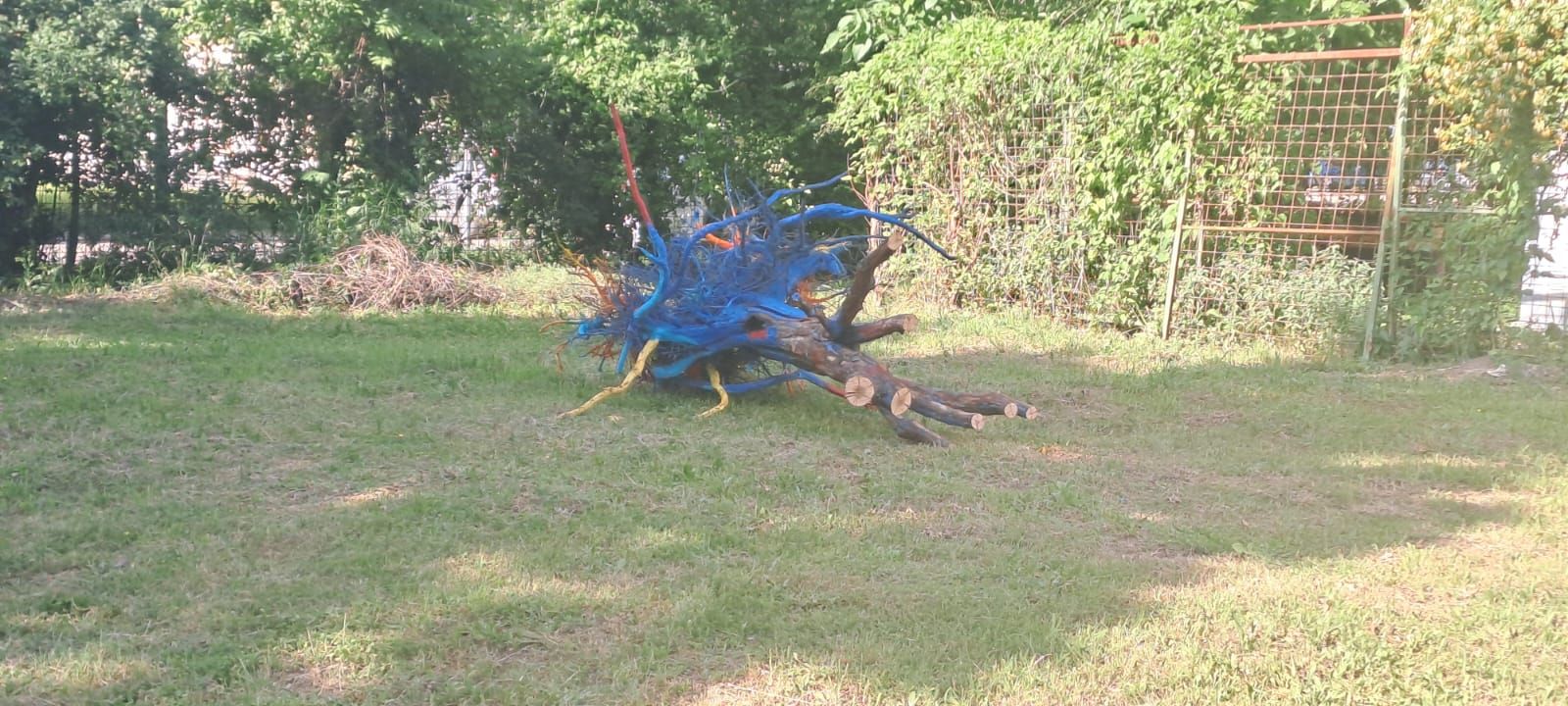 TIMIȘOARA-TIMIS-CULTURA-SIMBOL CULTURAL-ABANDONAT