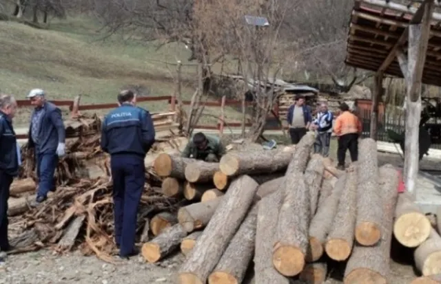 IGPR: Peste 5.300 de dosare penale și 1.200 de persoane cercetate pentru nereguli la domeniul silvic, în 6 luni