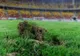 Afacerea Mondialului: FIFA vinde bucăți din gazonul finalei CM 2026 ca piese de colecție!