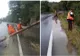 Copaci căzuți și drumuri inundate după codul galben